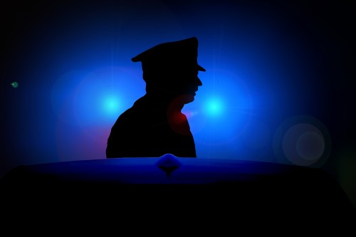 SEGURIDAD| Pedido de Informe |EMERGENCIA |Expediente Nro 1094/2016