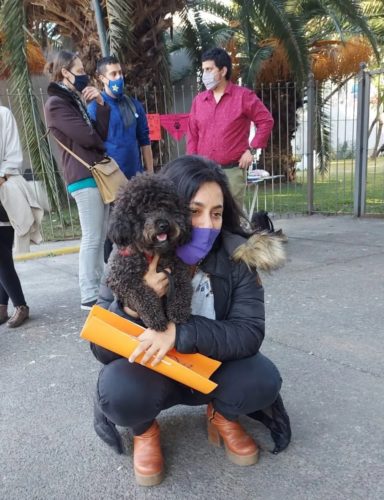 Día del Animal , una oportunidad para generar conciencia