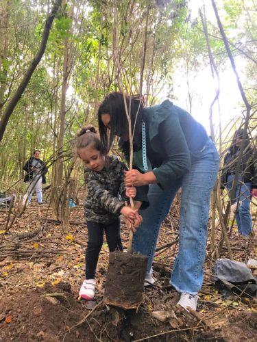Sofi Vannelli: “Es fundamental que los municipios garanticen a los vecinos, la conservación y mantenimiento del arbolado público”