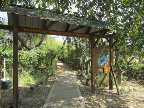 Declaración de interés provincial Reserva Ecológica La Lucila| Proyecto de declaración