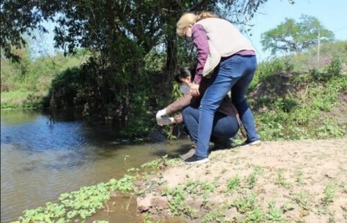 Creación del Código de Procedimientos de Faltas Ambientales de la Provincia de Buenos Aires | Proyecto de ley