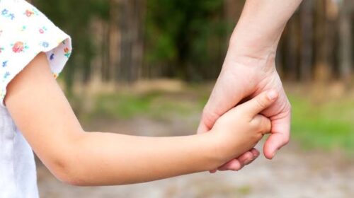 Régimen Provincial de Restitución de Niños, Niñas y Adolescentes | Proyecto de ley