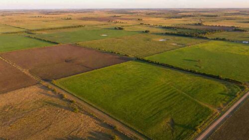 Régimen provincial de protección al dominio estratégico de tierras rurales | Proyecto de ley