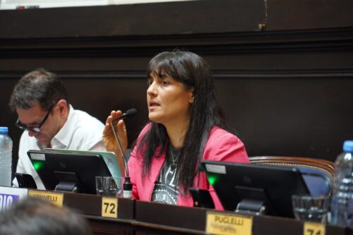 Vannelli: “El crédito dejó de ser una herramienta para progresar y se convirtió en una herramienta para sobrevivir”